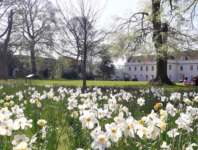 https://www.dunstable.gov.uk/wp-content/uploads/2025/04/grove-house-gadens-with-daffs.jpg