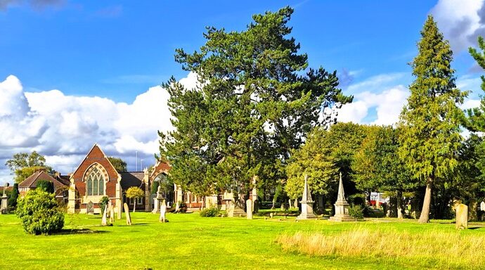 image shows trees and cemetery in background