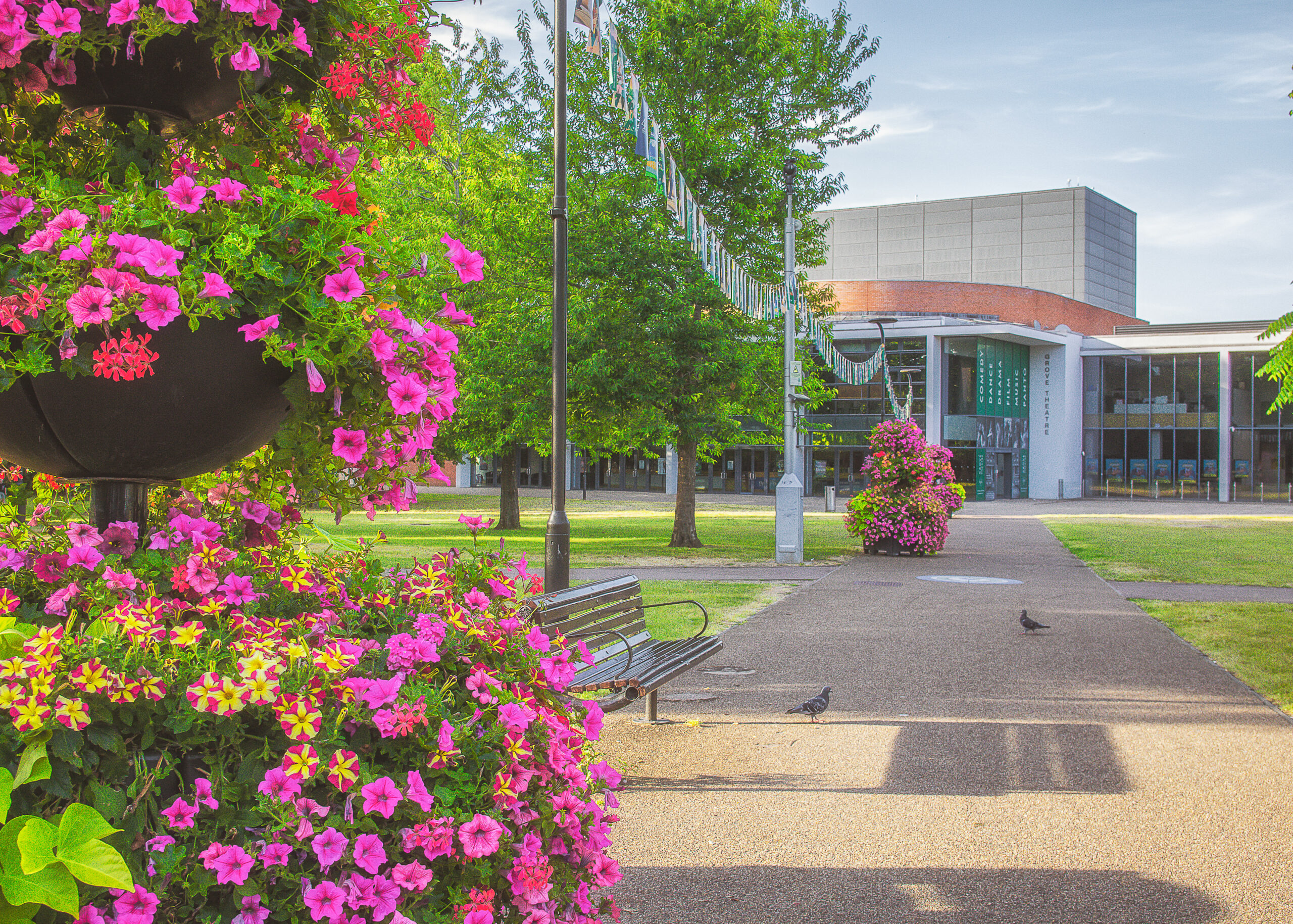floral display and grove theatre in the background with two pigeons