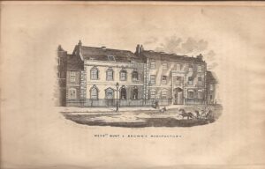 illustration of the munt and brown house