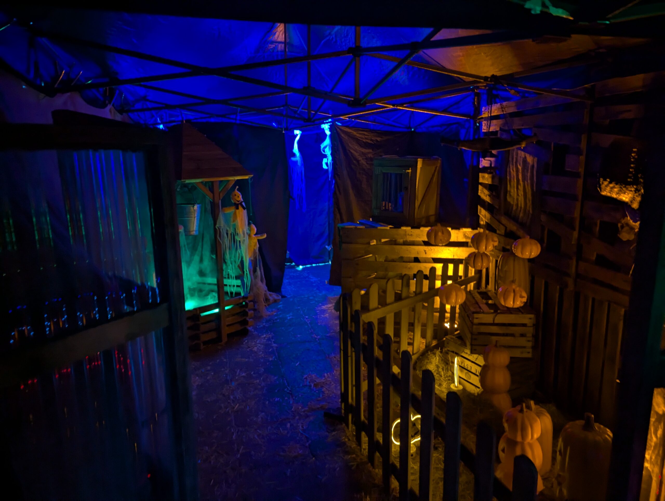 spooky Halloween walk that is dark with ultra violet lights