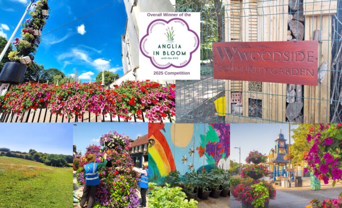 Collage of vibrant floral displays celebrating Anglia in Bloom 2025 win. Features hanging gardens, colourful community murals, and a 