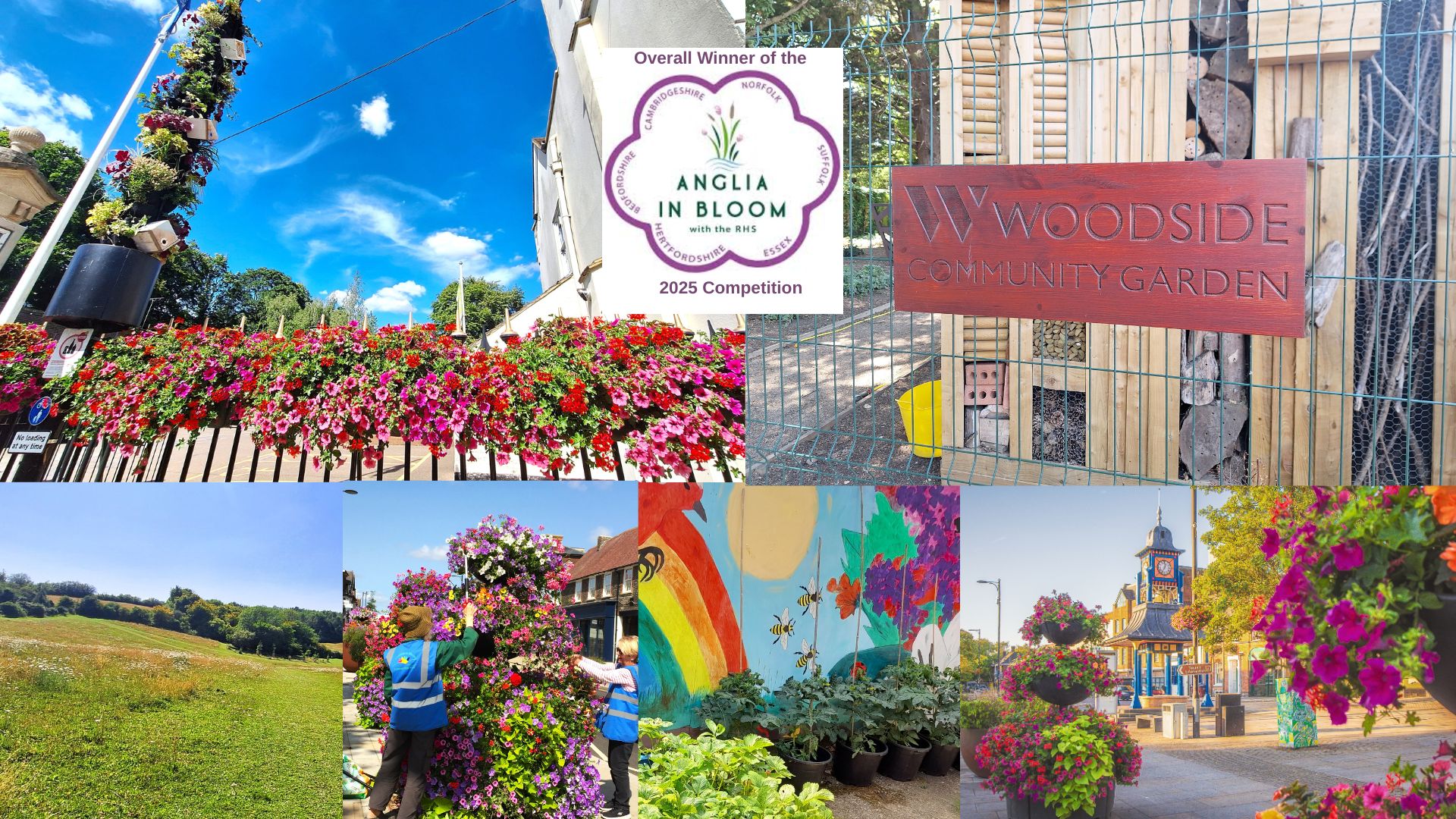 Collage of vibrant floral displays celebrating Anglia in Bloom 2025 win. Features hanging gardens, colourful community murals, and a 
