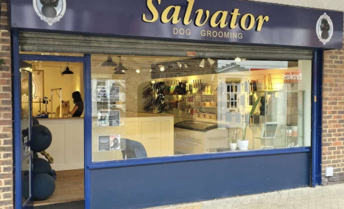 Storefront of Salvator Dog Grooming with large glass windows, elegant signage, and inside view of a person grooming a dog. Bright and welcoming ambiance.