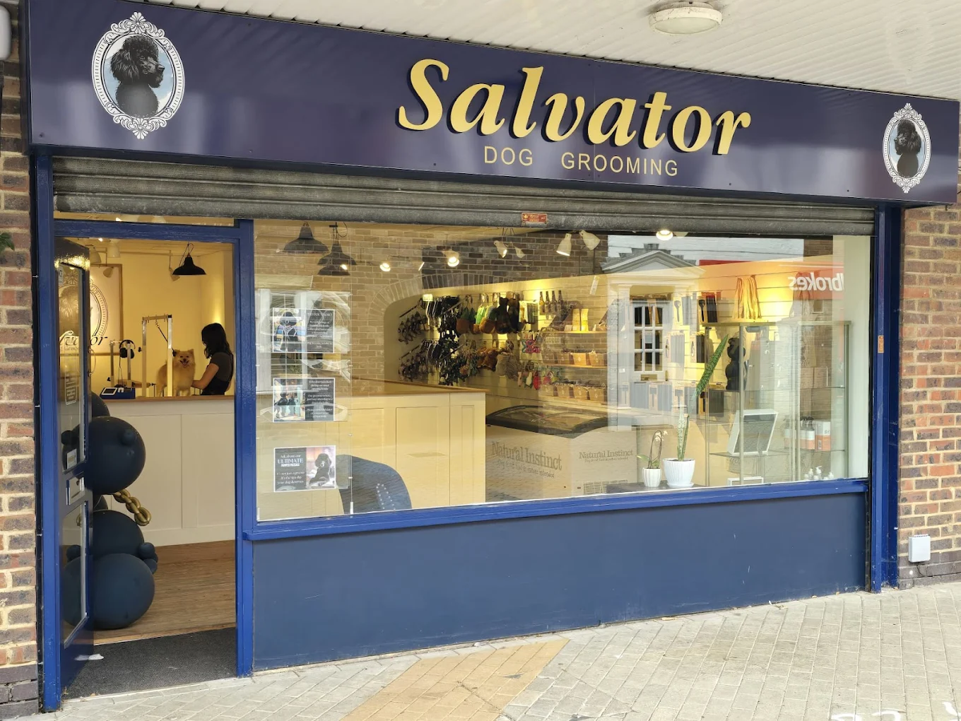 Storefront of Salvator Dog Grooming with large glass windows, elegant signage, and inside view of a person grooming a dog. Bright and welcoming ambiance.
