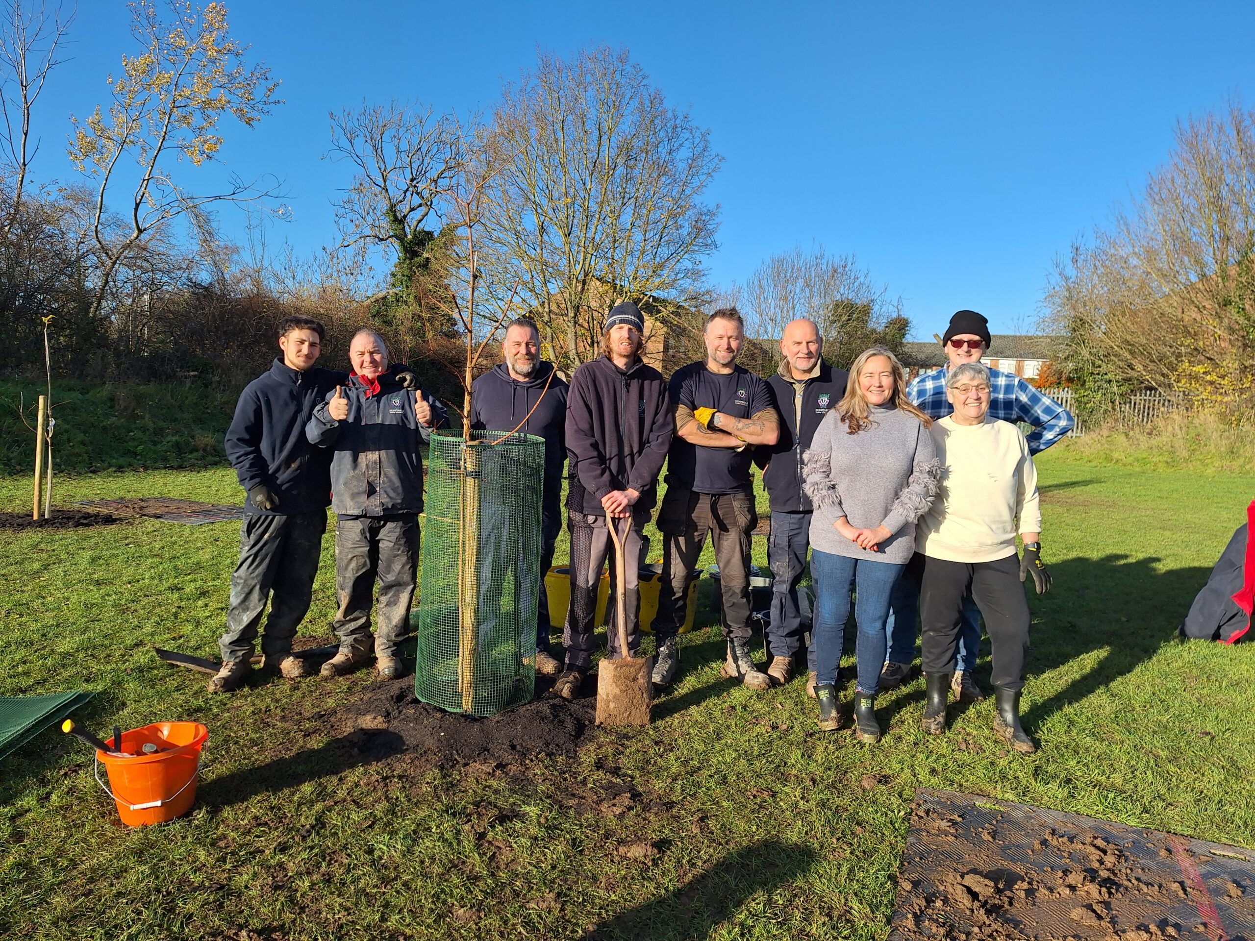 people in a row just after planting a new tree