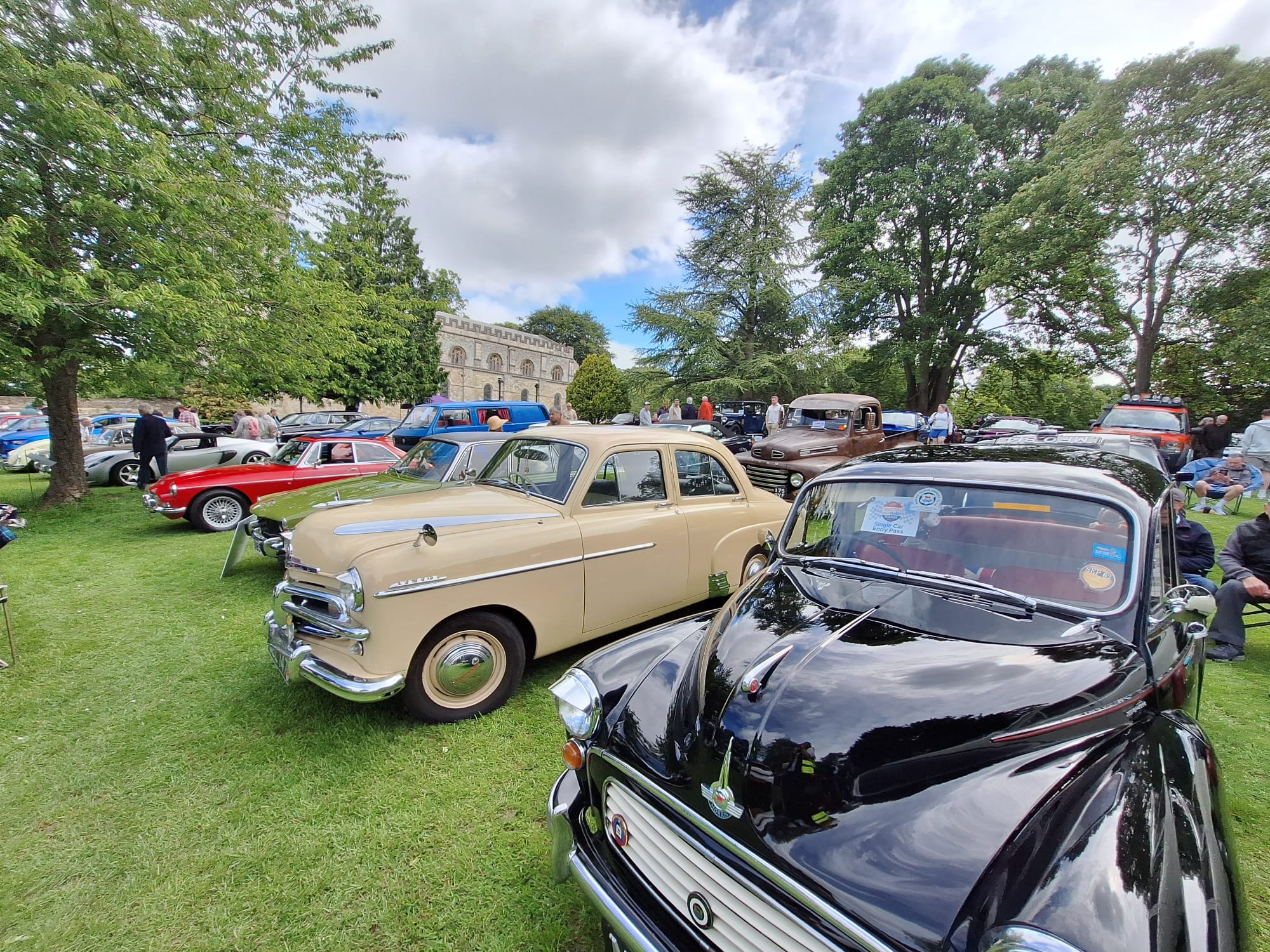 A collection of classic cars parked on a grassy area, showcasing their vintage designs and vibrant colours.